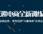 兴趣电商全新训练营：打破品销边界，带你玩转“兴趣电商“实现业务增长-鱼梓小栈