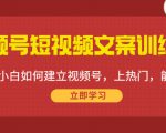 视频号短视频文案训练营：0基础小白如何建立视频号，上热门，能卖货！-鱼梓小栈