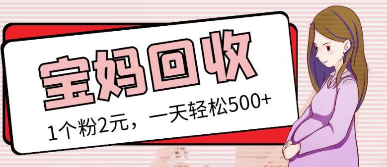 最新小红书母婴号宝妈粉回收项目，1个粉2元，一天轻松500+案例分享【粉丝包回收】-鱼梓小栈