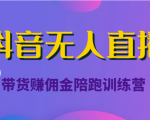 抖音无人直播带货赚佣金陪跑训练营（价值6980元）-鱼梓小栈