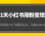 21天小红书涨粉变现营（第4期）：带你掌握小红书爆款玩法，月赚10W+秘密-鱼梓小栈