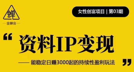 资料IP变现，能稳定日赚3000起的持续性盈利玩法-鱼梓小栈