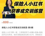 保险人小红书获客成交训练营，0基础高效玩转小红书，可复制的获客成交之路-鱼梓小栈