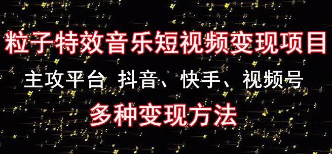 黄岛主《粒子特效音乐短视频变现项目》主攻平台抖音、快手、视频号多种变现方法-鱼梓小栈