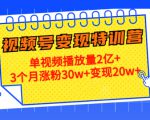 21天视频号变现特训营：单视频播放量2亿+3个月涨粉30w+变现20w+（第14期）-鱼梓小栈