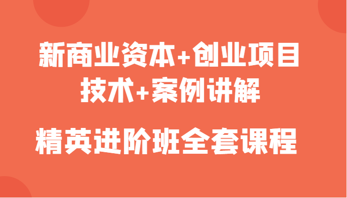 新商业资本+创业项目，技术+案例讲解，精英进阶班全套课程-鱼梓小栈