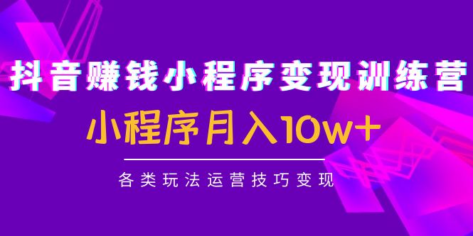 抖音赚钱小程序变现训练营：小程序月入10w+各类玩法运营技巧变现-鱼梓小栈