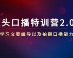 镜头口播特训营2.0版,学习文案编导以及拍摄口播能力(50节课时)-鱼梓小栈