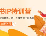 小红书IP特训营:从搭建-制作-爆款脚本等等,做一个赚钱的小红书号-鱼梓小栈