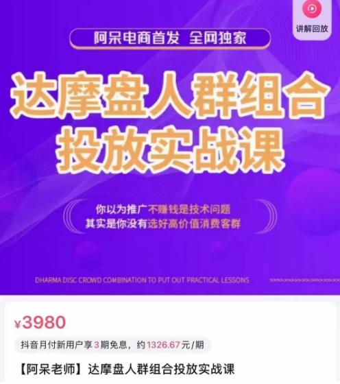 阿呆电商·达摩盘人群组合投放实战课，你以为推广不赚钱是技术问题，其实是你没有选好高价值消费客群-鱼梓小栈