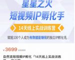 瑶瑶·自然流短视频IP孵化第二期，14天线上实战训练营，赋能100个人成为有数据能赚钱的独立IP孵化手-鱼梓小栈