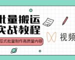 视频号批量搬运实战操作运营赚钱教程,傻瓜式批量制作高质量内容【附视频教程+PPT】-鱼梓小栈