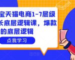大圣淘宝天猫电商1-7层级盈利增长底层逻辑课，爆款的底层逻辑-鱼梓小栈
