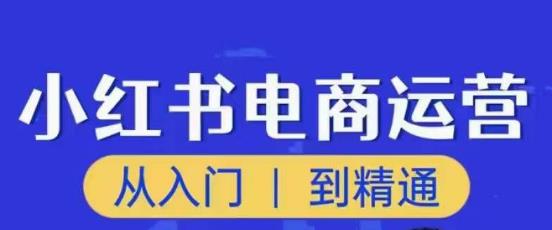 顽石小红书电商高阶运营课程，从入门到精通，玩法流程持续更新-鱼梓小栈