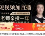 张越·短视频+直播,自然流三频共振起号实操课,短视频所有流量玩法讲解-鱼梓小栈