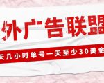 外面收费1980的最新国外LEAD广告联盟搬砖项目，单号一天至少30美金【详细玩法教程】-鱼梓小栈