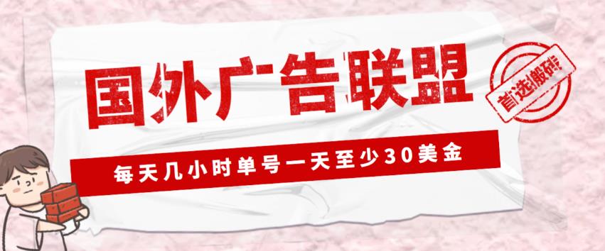 外面收费1980的最新国外LEAD广告联盟搬砖项目，单号一天至少30美金【详细玩法教程】-鱼梓小栈