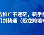 亚马逊广告推广不迷茫，新手卖家产品运营入门到精通（恐龙跨境电商）-鱼梓小栈