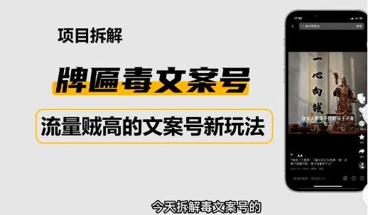 2023抖音快手毒文案新玩法，牌匾文案号，起号快易变现-鱼梓小栈