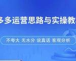 拼多多店铺运营思路与实操教程,快速学会拼多多开店和运营,少踩坑,多盈利-鱼梓小栈