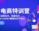 美团电商特训营:美团·店群玩法,无脑铺货月产出6000-15000+精细化月产2w+-鱼梓小栈