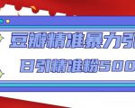 豆瓣精准暴力引流,日引精准粉500+【12课时】-鱼梓小栈