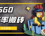 外面9800的CSGO汇率搬砖项目，一个月轻松赚几千【选品软件+详细教程】-鱼梓小栈