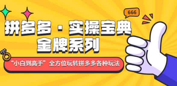 拼多多·实操宝典：金牌系列“小白到高手”带你全方位玩转拼多多各种玩法-鱼梓小栈