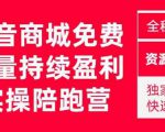 抖音商城搜索持续盈利陪跑成长营，抖音商城搜索从0-1、从1到10的全面解决方案-鱼梓小栈