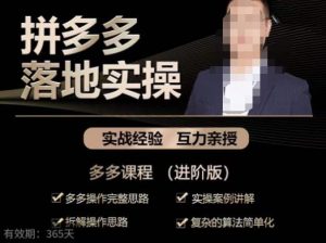 拼多多实战篇·落地实操：多多操作完整思路+实操案例讲解+拆解操作思路+复杂的算法简单化-鱼梓小栈