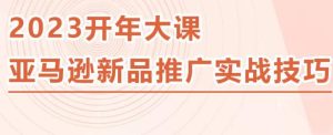 2023亚马逊新品推广实战技巧，线下百万美金课程的精简版，简单粗暴可复制，实操性强的推广手段-鱼梓小栈