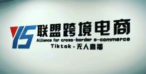 YS联盟·Tiktok无人直播，不出镜不剪辑不拍摄不发货无售后的跨境短视频躺赚玩法-鱼梓小栈