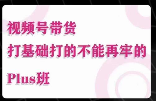 大播汇·视频号带货Puls班，视频号底层逻辑，起号自然流鱼塘等玩法-鱼梓小栈
