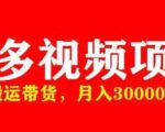 多多带货视频快速50爆款拿带货资格，搬运带货，月入30000【全套脚本+详细玩法】-鱼梓小栈