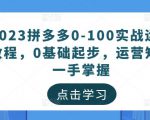 2023拼多多0-100实战运营教程，0基础起步，运营知识一手掌握-鱼梓小栈