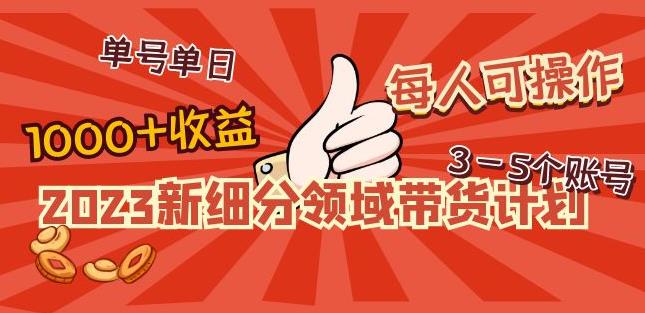 2023新细分领域带货计划：单号单日1000+收益不难，每人可操作3-5个账号-鱼梓小栈