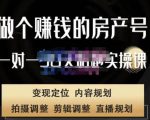 刘广标·同城房产号线上陪跑课,拍摄、剪辑、写文案、直播,做一个具有潜力价值的房产号-鱼梓小栈