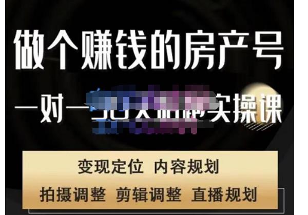 刘广标·同城房产号线上陪跑课，拍摄、剪辑、写文案、直播，做一个具有潜力价值的房产号-鱼梓小栈