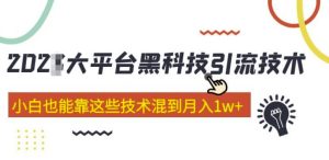 大平台黑科技引流技术，小白也能靠这些技术混到月入1w+(2022年的课程）-鱼梓小栈