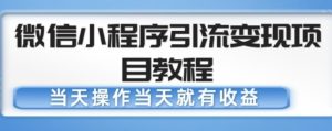 微信小程序引流变现项目教程，当天操作当天就有收益，变现不再是难事-鱼梓小栈