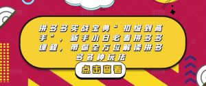 拼多多实战宝典“初级到高手”，新手小白必看拼多多课程，带你全方位解读拼多多各种玩法-鱼梓小栈