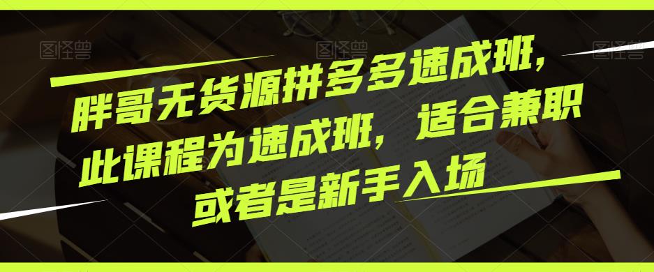 胖哥无货源拼多多速成班，此课程为速成班，适合兼职或者是新手入场-鱼梓小栈