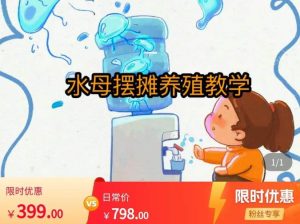 水母摆摊教学，包括摆摊技术、养殖技术、拿货渠道、抖音运营等-鱼梓小栈