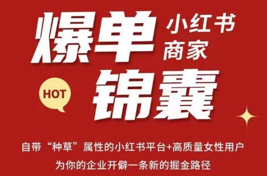 无畏·小红书商家爆单锦囊，掌握小红书各大规则，快速精准抢占行业和市场-鱼梓小栈