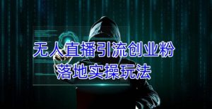 外面收费3980的无人直播引流创业粉落地实操玩法，单日引100+精准创业粉-鱼梓小栈