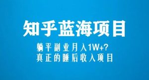 知乎蓝海玩法，躺平副业月入1W+，真正的睡后收入项目（6节视频课）-鱼梓小栈