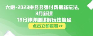 大炮·2023拼多多强付费最新玩法，3月新课​78分钟详细讲解玩法流程-鱼梓小栈