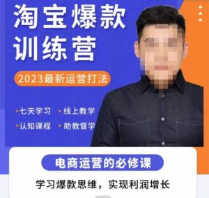 爱上黄昏·淘宝爆款训练营，2023最新运营打法，学习爆款思维，实现利润增长-鱼梓小栈