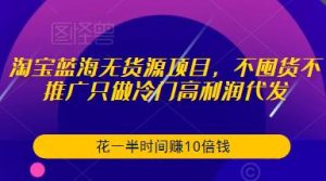 淘宝蓝海无货源项目，不囤货不推广只做冷门高利润代发，花一半时间赚10倍钱-鱼梓小栈