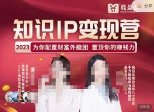 鹿盈盈-知识IP变现实操营，​普通人可复制的知识产品落地实操课，​带你打通知识IP变现底层逻辑-鱼梓小栈